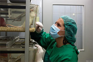 創(chuàng)新除臭技術，破解動物實驗室異味難題，科研健康兩不誤